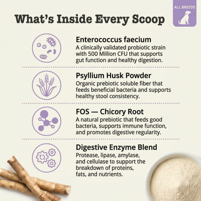 Probiotic Blend for Dogs for gut health, digestion & immune support