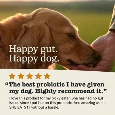 Probiotic Blend for Dogs for gut health, digestion & immune support